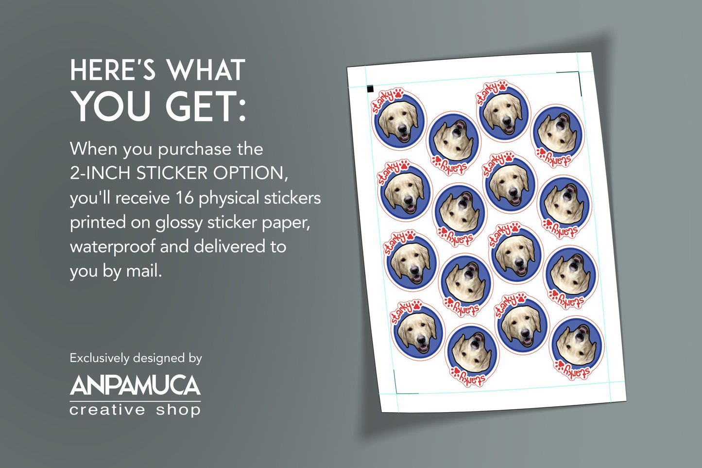 Custom Pet Sticker With Photo and Name Dog or Cat Gift for Grandparent Pet Lovers Dog or Cat Birthday Party Cat Mom Sticker Dog Dad Decals