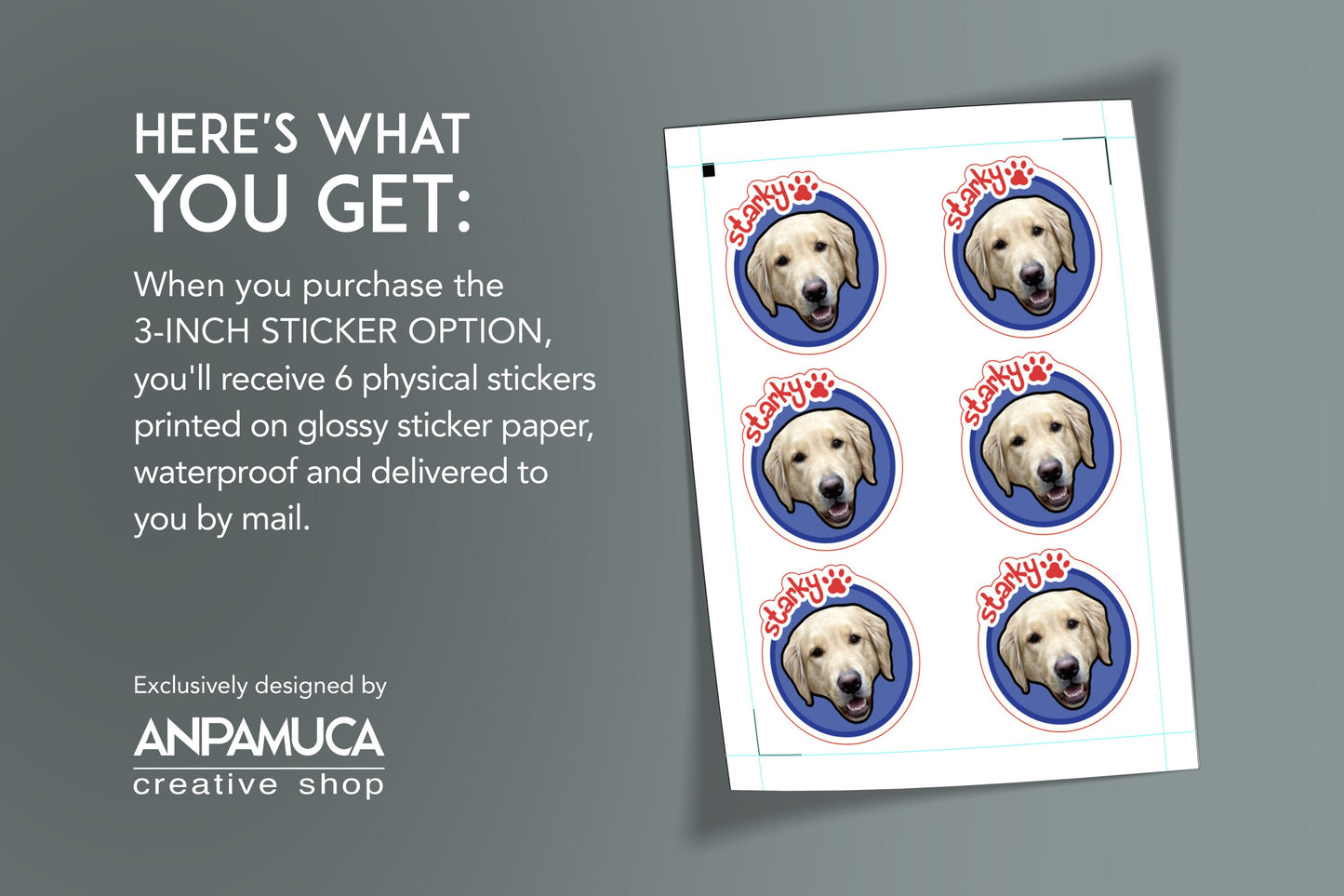 Custom Pet Sticker With Photo and Name Dog or Cat Gift for Grandparent Pet Lovers Dog or Cat Birthday Party Cat Mom Sticker Dog Dad Decals